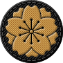 高等科特技 - Advanced Training Insignia